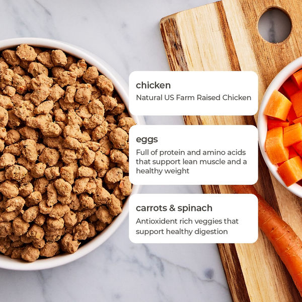 Freshpet Tender Chicken Recipe Cat Food - Moisture Rich Bites