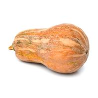 Courge Fraîche Premium