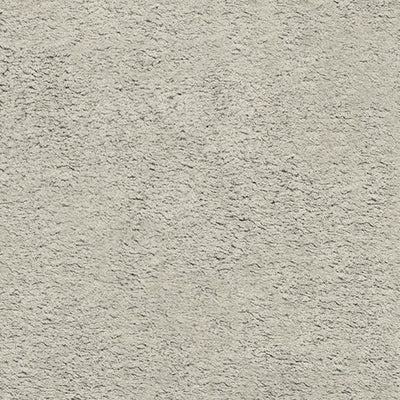Luxe Cuddle Frosted Baby Seal Fabric - 58"/60" per yard