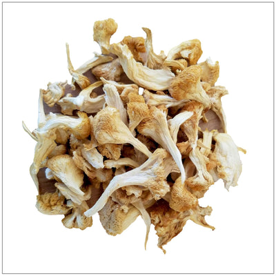 Premium Dried Lion's Mane Mushrooms
