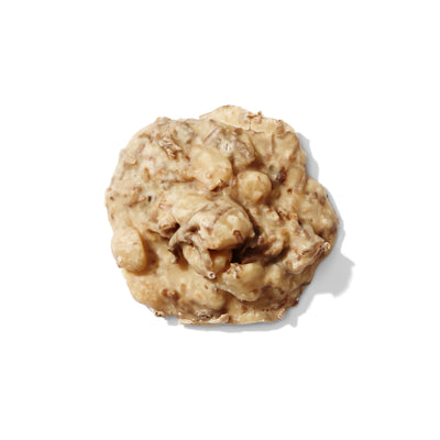 Macadamia Coconut Praline – Tropical Twist on a Southern Classic - Korvel