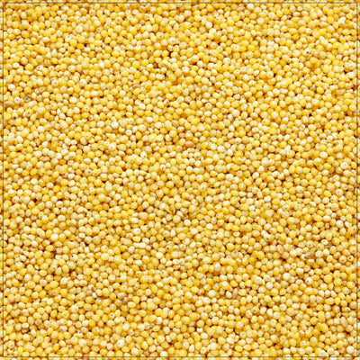 Premium Whole Millet Grains