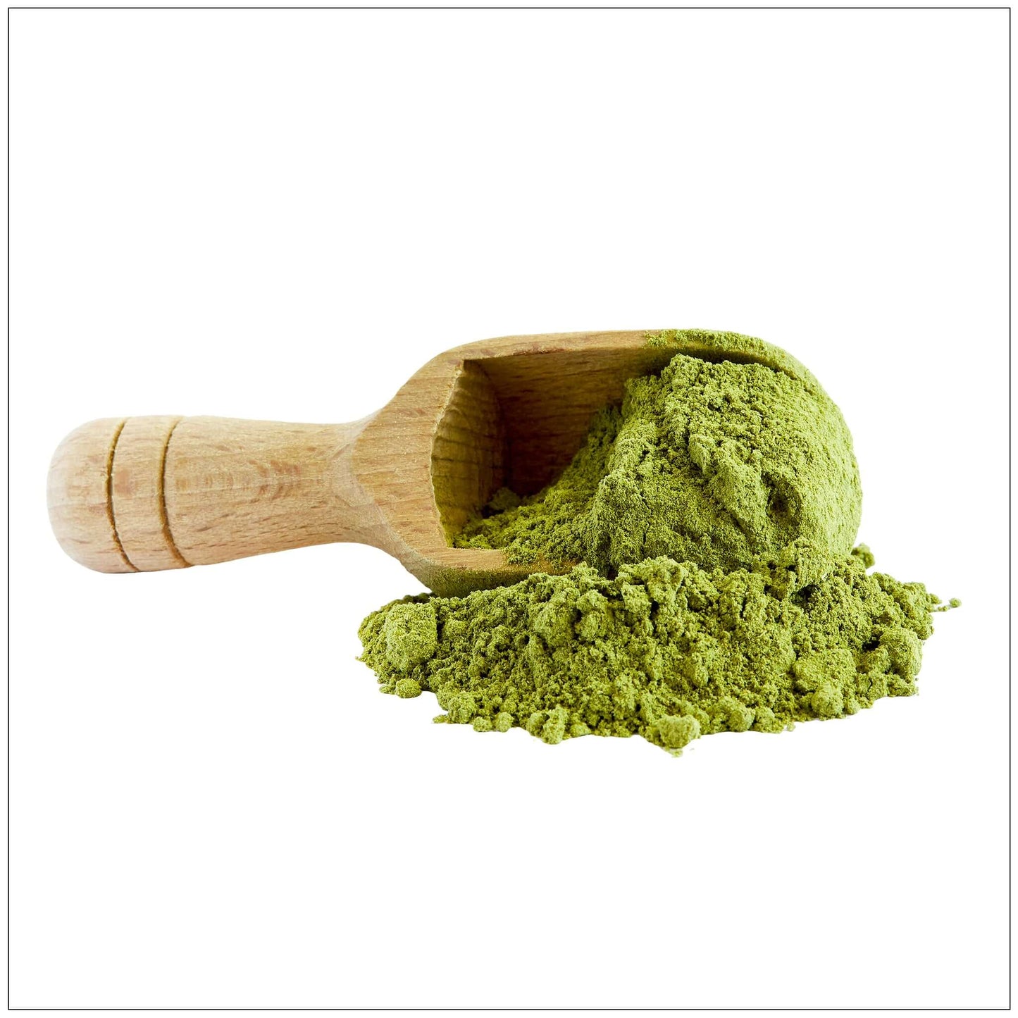 Moringa Oleifera Powder - Korvel
