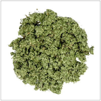 Mugwort Herb - Korvel