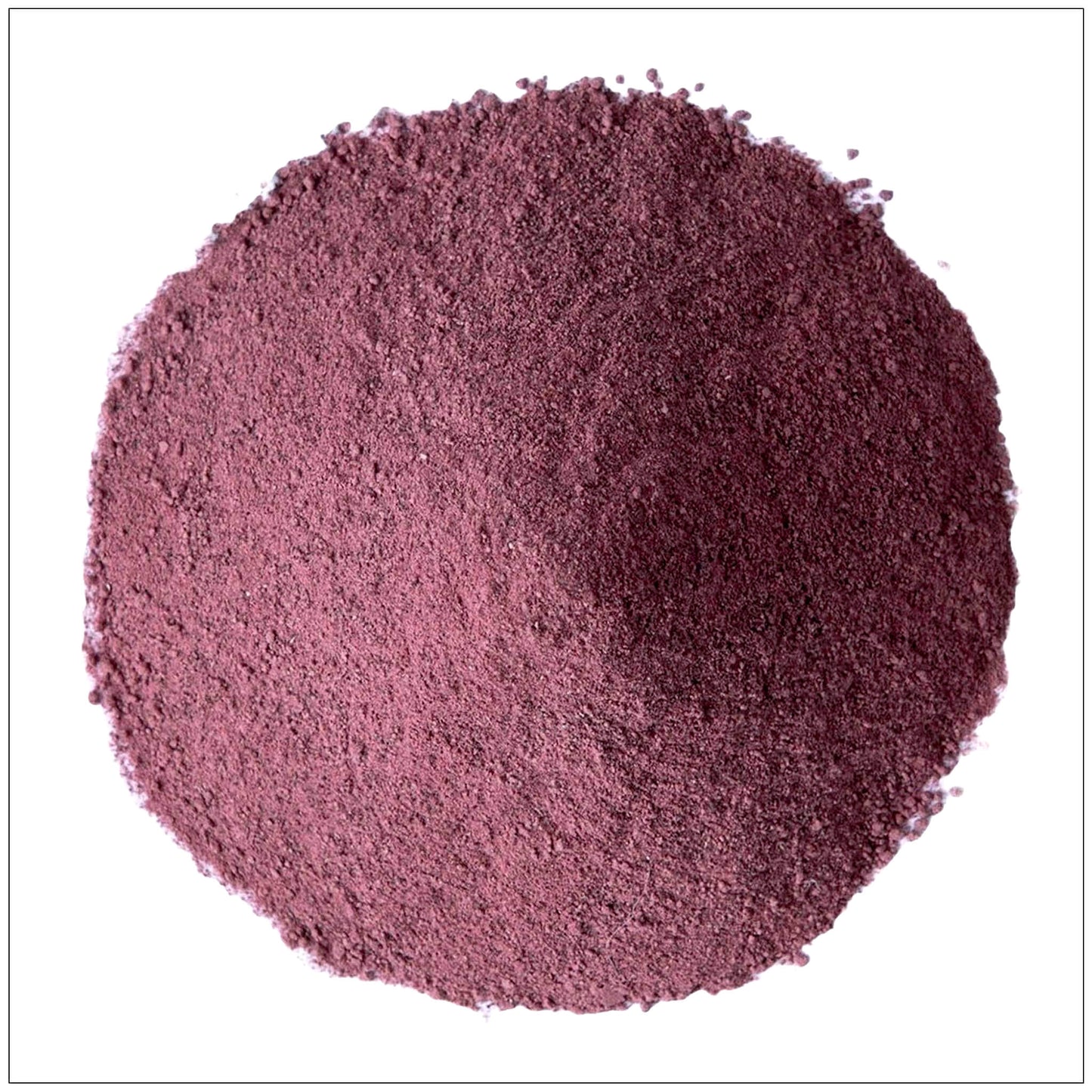 Poudre de Fruit de Morus Premium