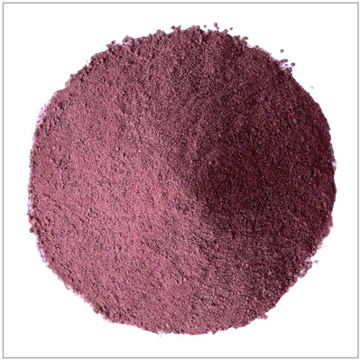 Poudre de Fruit de Morus Premium