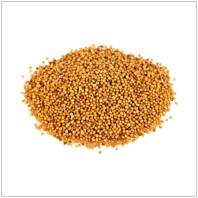 Semillas de Mostaza Amarilla Premium