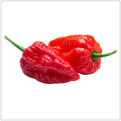 Piment Naga Jolokia - Chaleur Exotique pour Aventures Culinaires