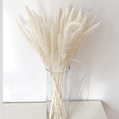 Elegant Dried Pampas Grass for Home and Wedding Decor