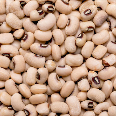 Premium Navy Beans - Versatile and Nutritious Legumes
