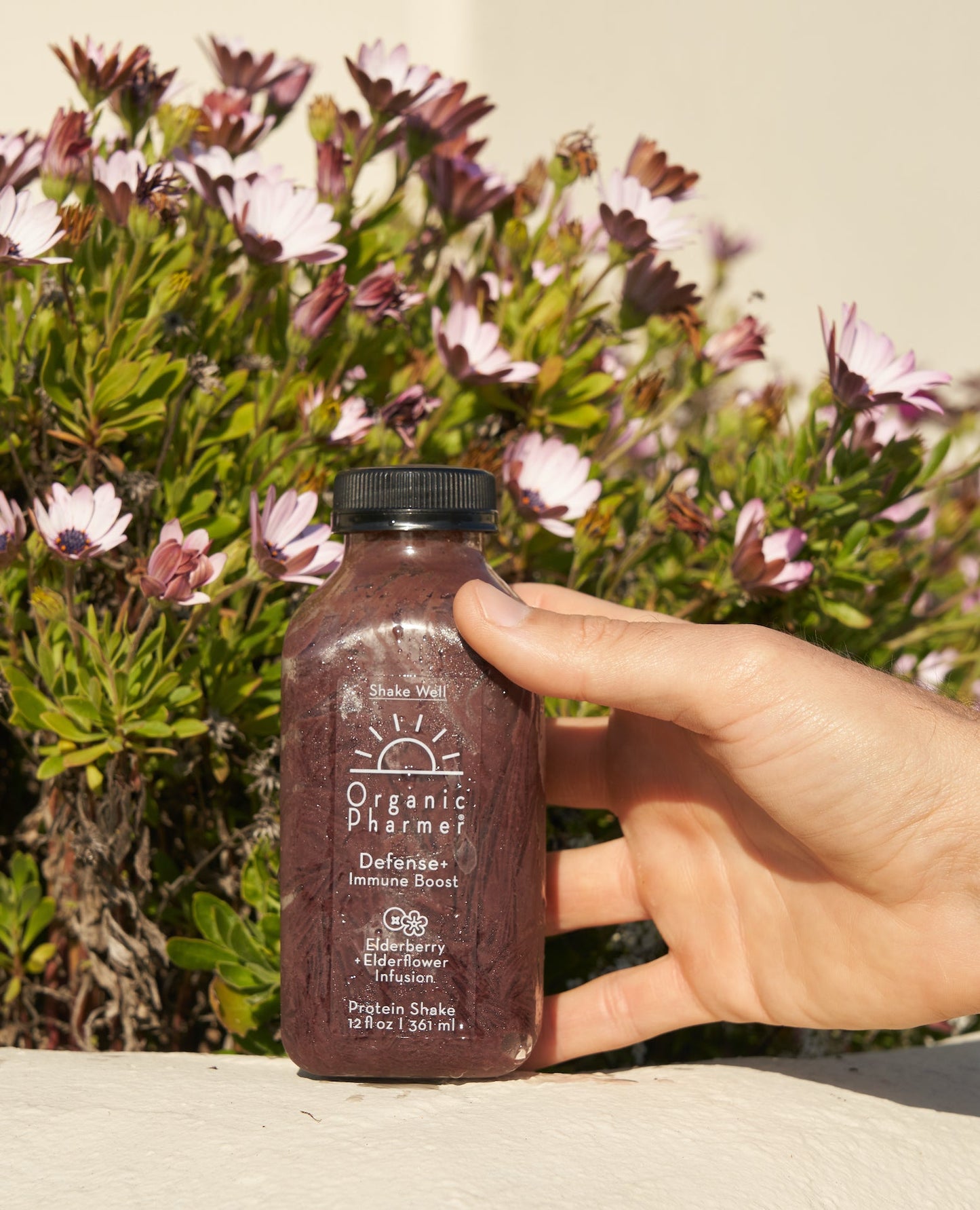 Batido de proteína vegetal Defense+