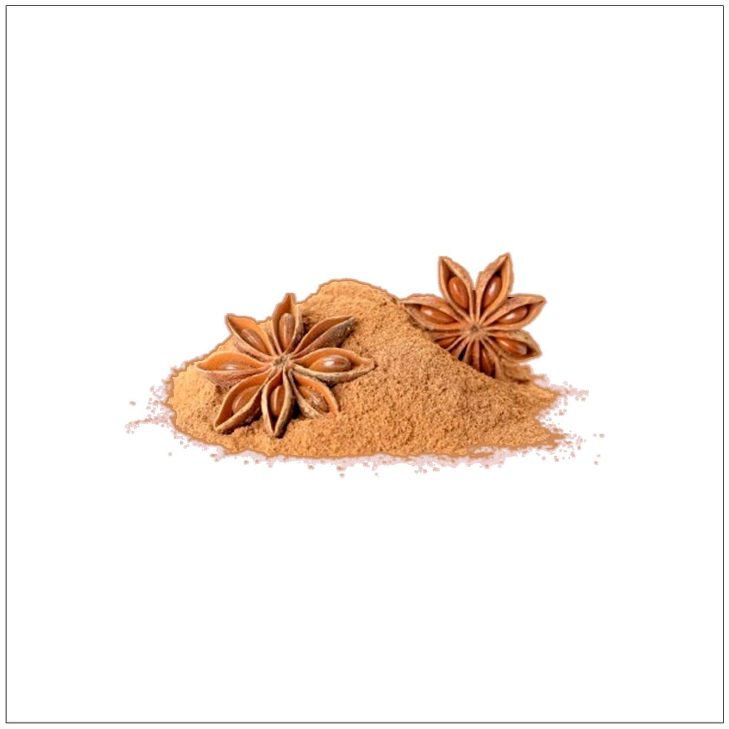 Poudre de Cannelle Premium - Épice Aromatique pour Délices Culinaires