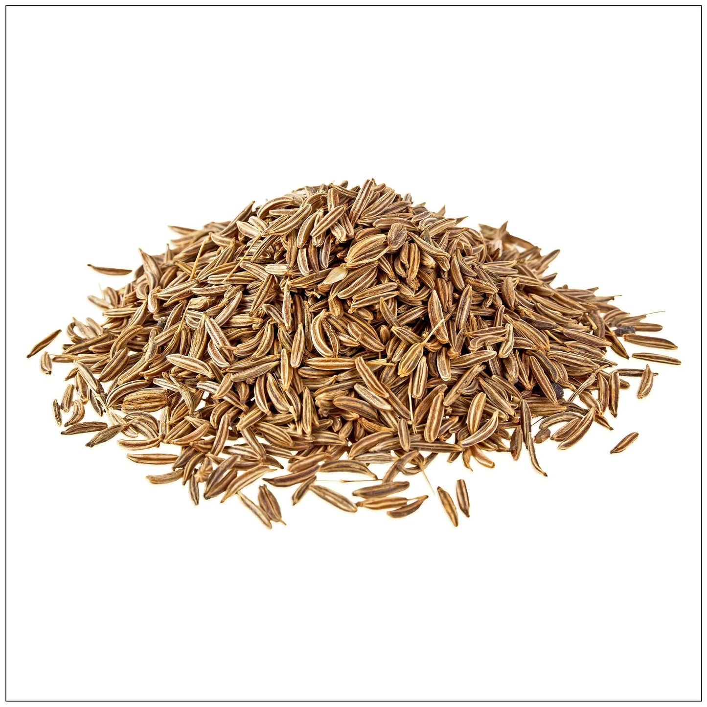 Cumin Seeds - Korvel