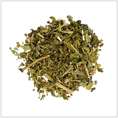 Hoja de Papaya Premium para Uso Culinario y Herbal