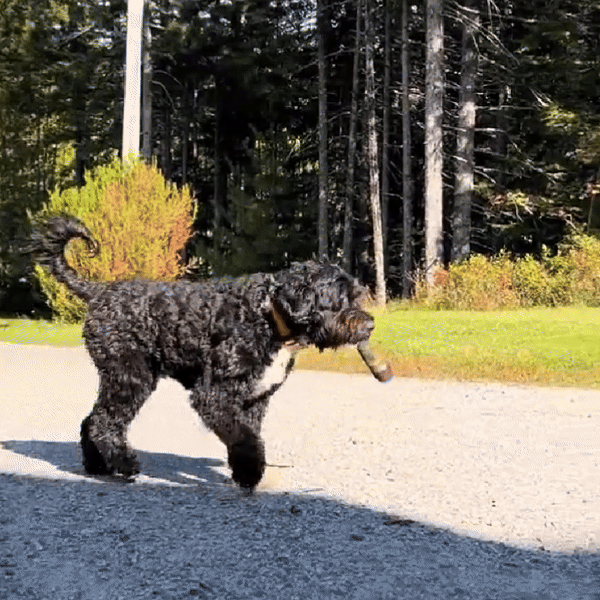 Paw Smoke Dog Toy - Fun and Durable Playtime Companion