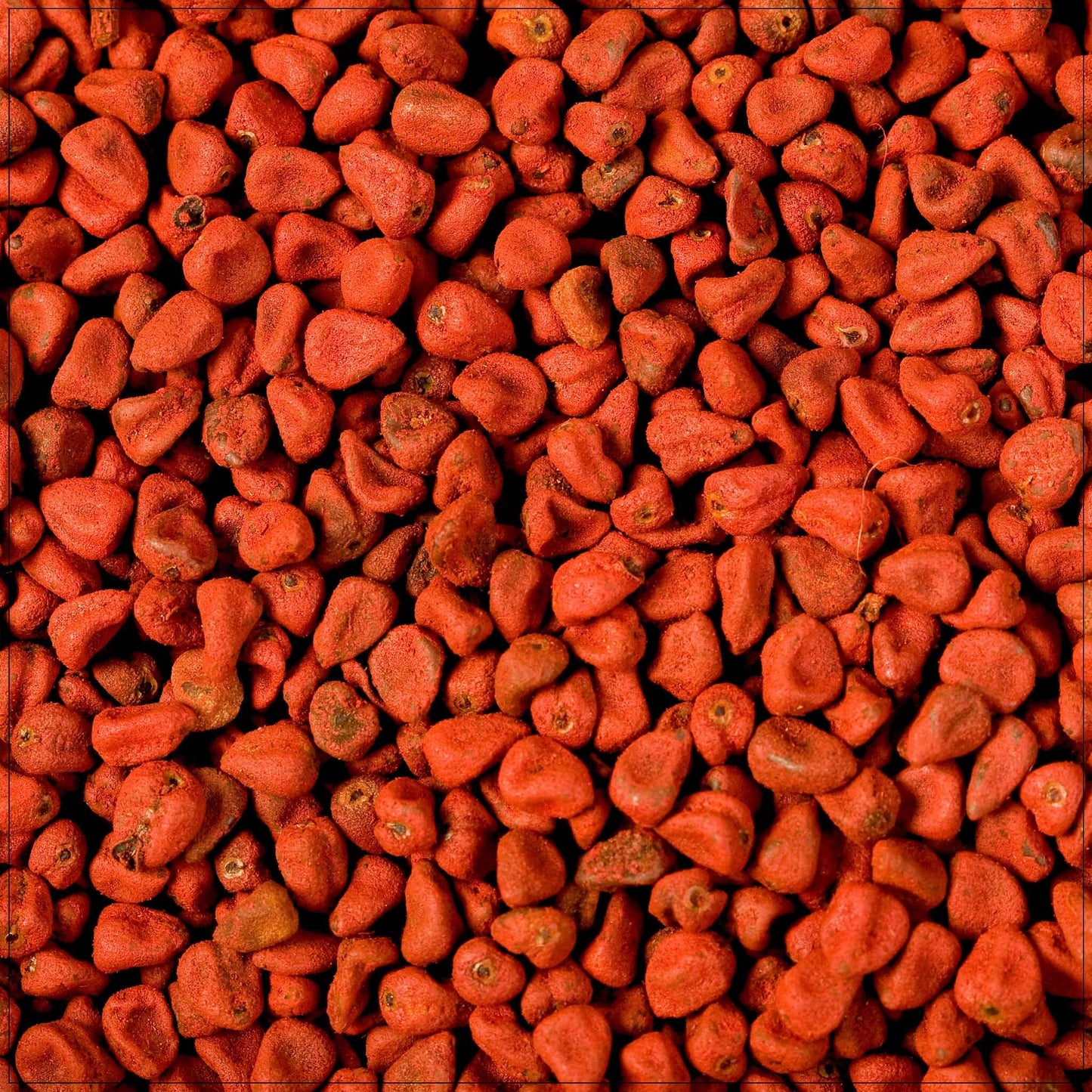 Graines d'Annatto Premium pour l'Excellence Culinaire