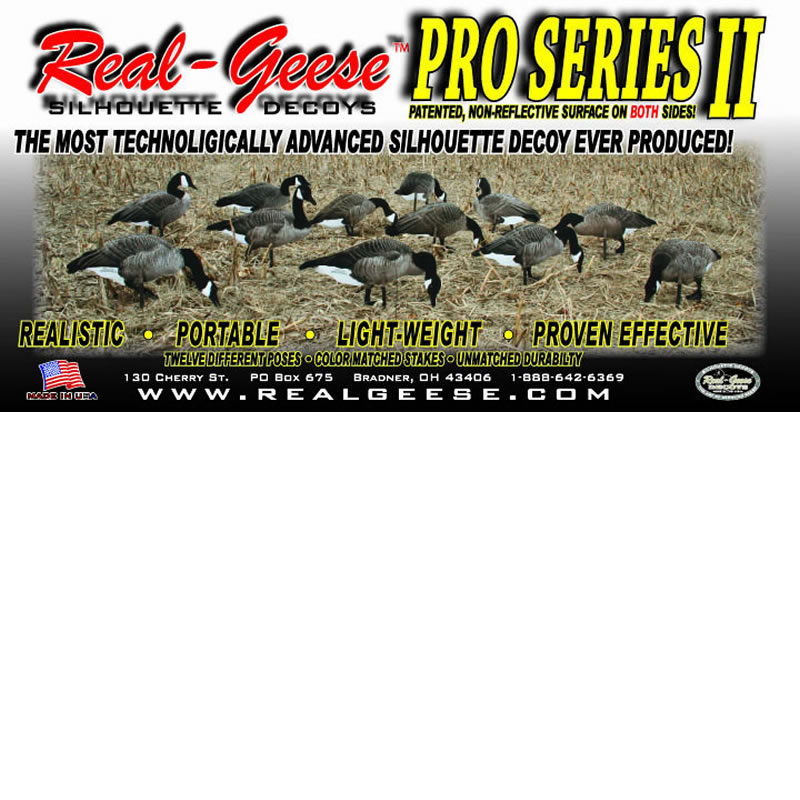 Decoys de ganso canadiense Pro Series II