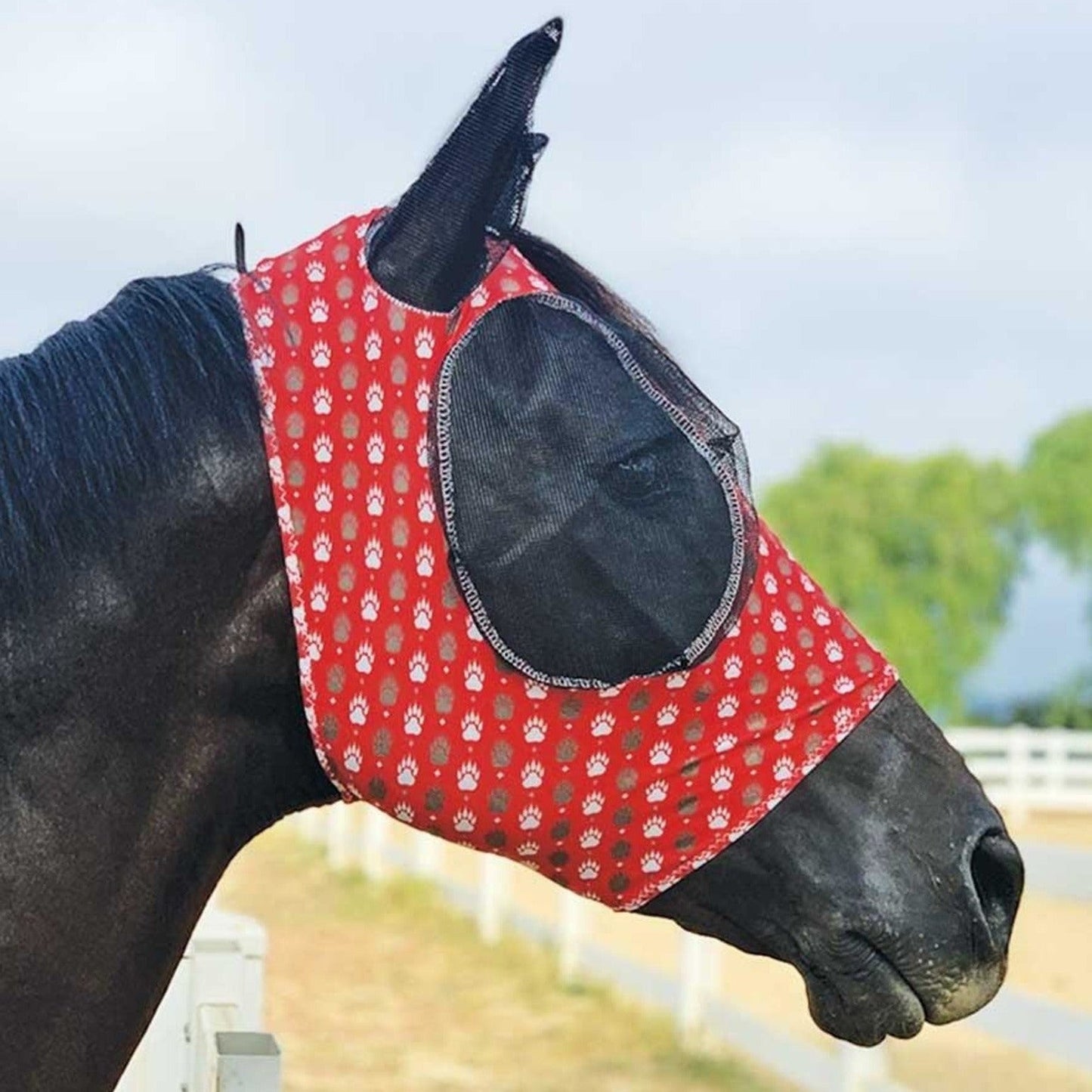 Lycra Fly Mask Bearpaw - Korvel
