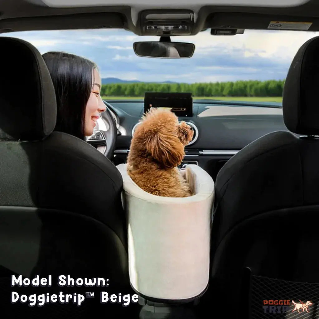 Asiento de Seguridad Portátil para Mascotas Pequeñas