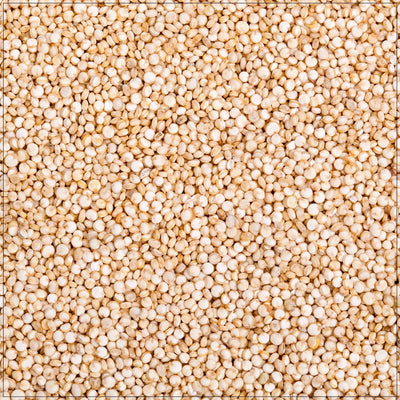 Quinoa White - Korvel