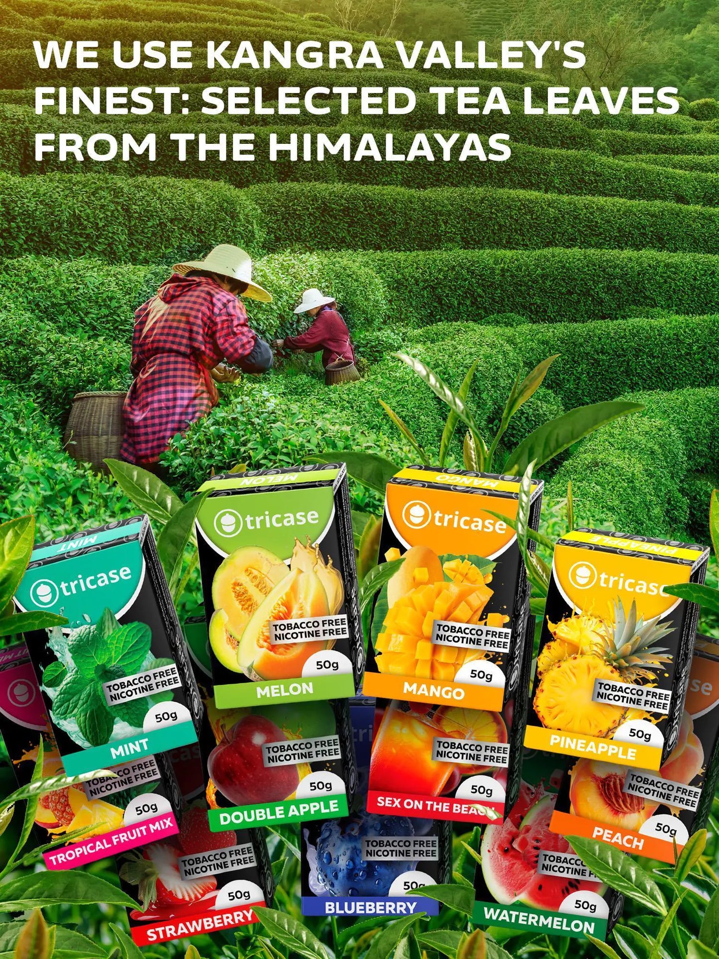 Fruity Shisha Hookah Flavor Set - 100g Premium Tobacco