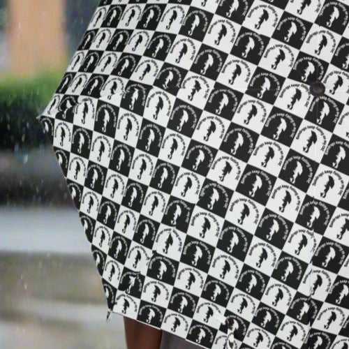 Parapluie Pliant Raindrops Falling on my Cat