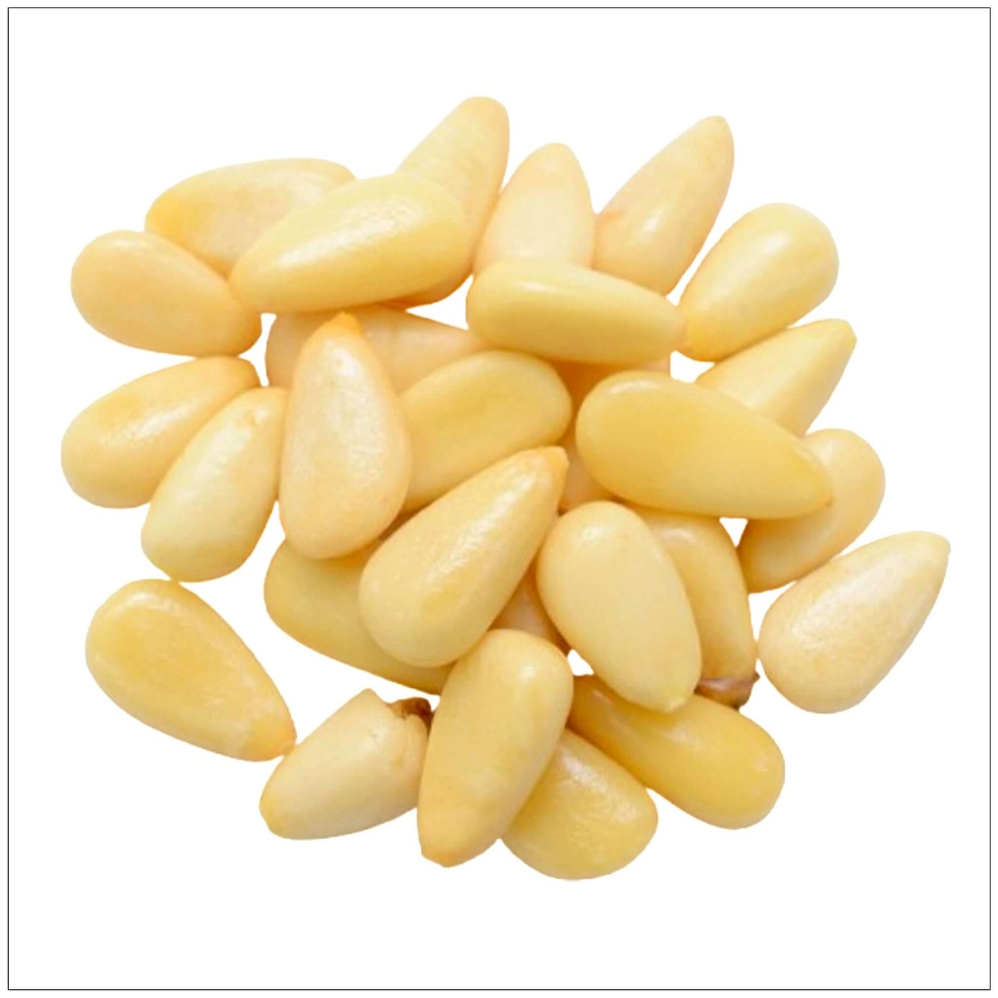 Premium Raw Pine Nuts - Whole & Natural