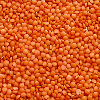 Premium Whole Red Lentils