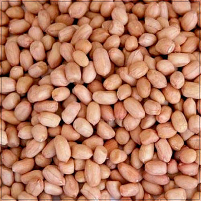 Premium Red Skin Raw Peanuts