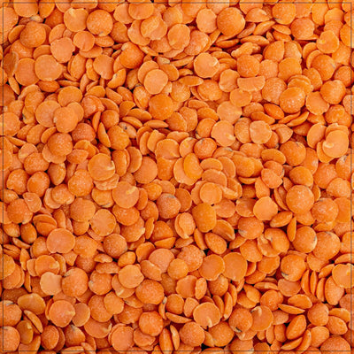 Premium Red Split Lentils