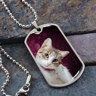 Collar de Gato Sassy - Acero Quirúrgico Premium y Acabado en Oro