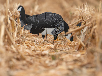 Shadow-X Premium Wildlife Decoys