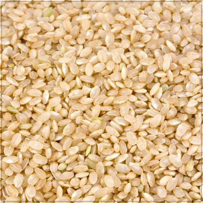 Premium Short Grain Brown Rice