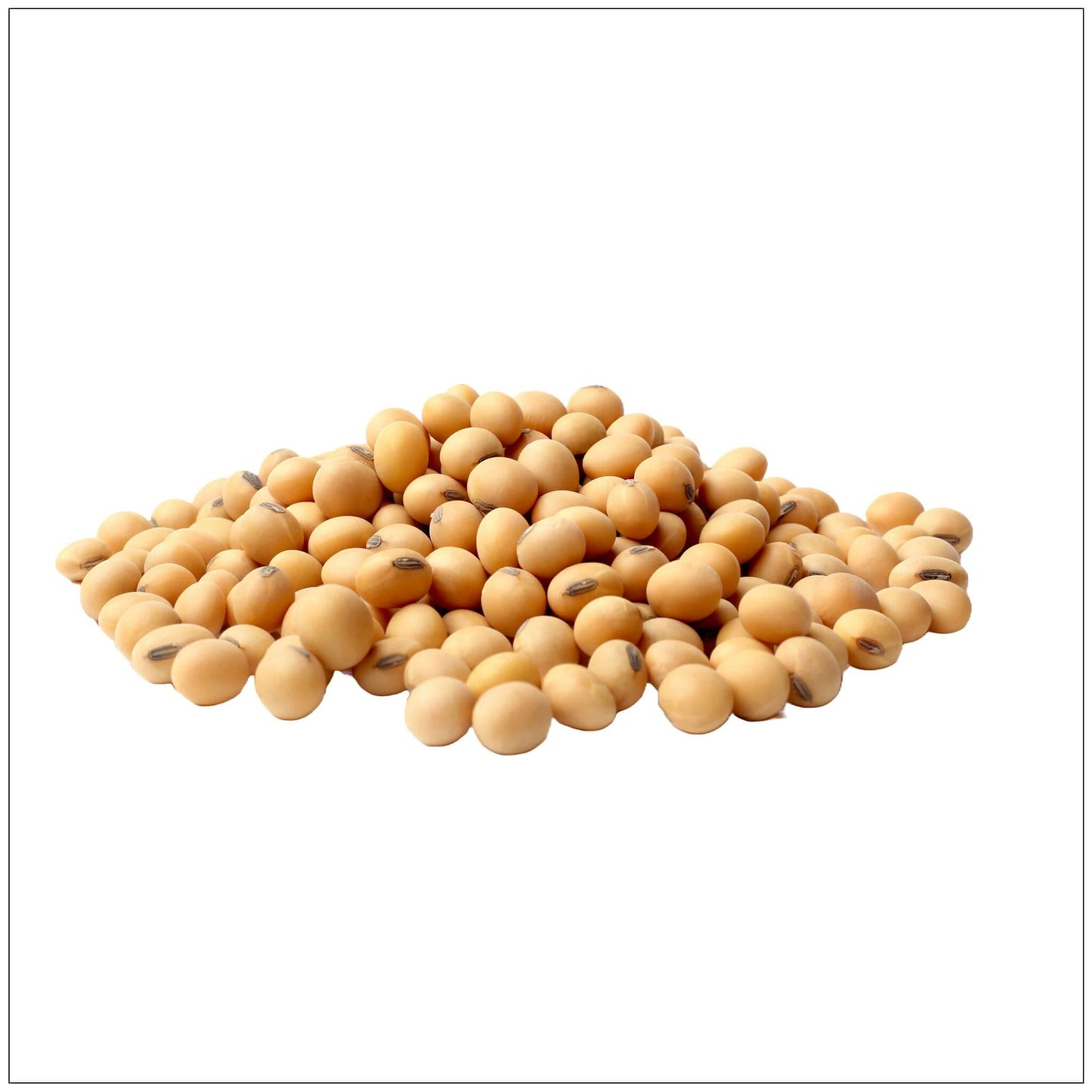 Soja Bio Premium