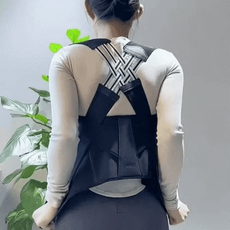 SpineAlign Pro - Korvel