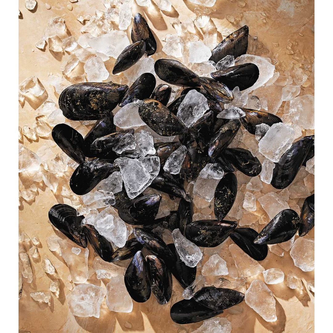 Tasting History: Explore the Past through 4,000 Years of Recipes(Spiral Bound) - Korvel