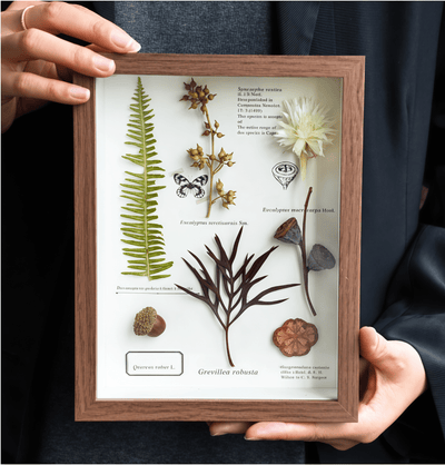 "The Botanist’s Journal" - Real Pressed Flower Art Frames