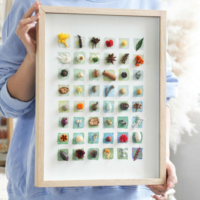 The Grand Botanical Mosaic - 48-Grid Real Specimen Shadow Box Art