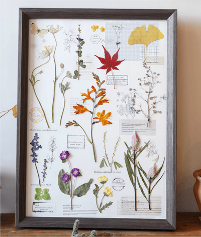 The Grand Herbarium - Large Real Pressed Fern & Flower Art (A3 Size)