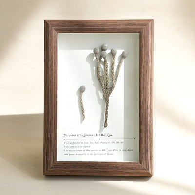 The Landscape Garden - Real Preserved Flower Shadow Box