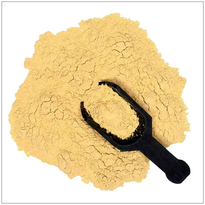 Premium Tongkat Ali Extract Powder
