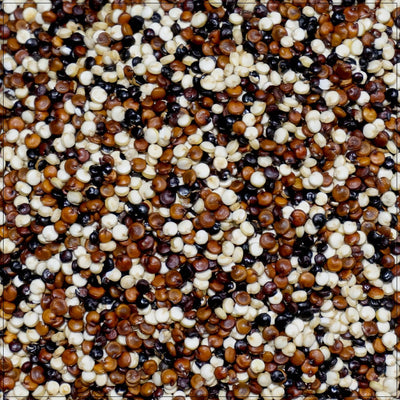 Premium Tri-Color Quinoa Blend