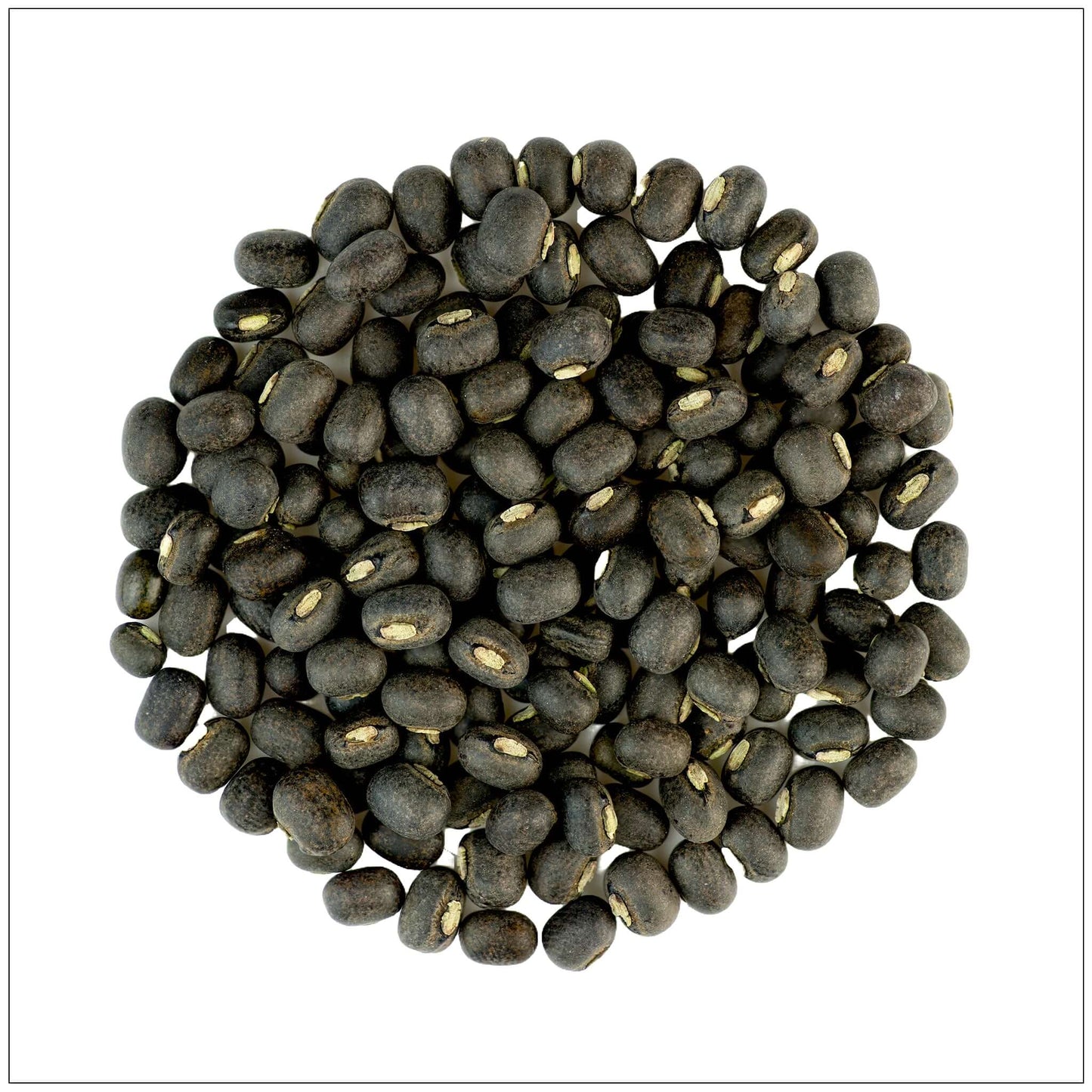 Premium Urad Lentils - Whole and Nutritious