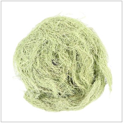 Lichen Usnée Premium - L'Herbe Unique de la Nature