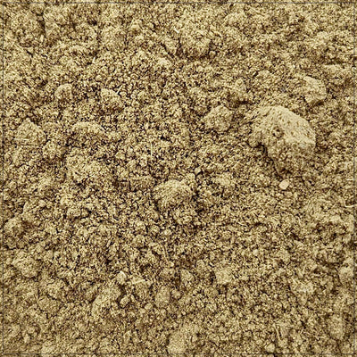 Premium Uva Ursi Powder - Natural Herb for Culinary Use