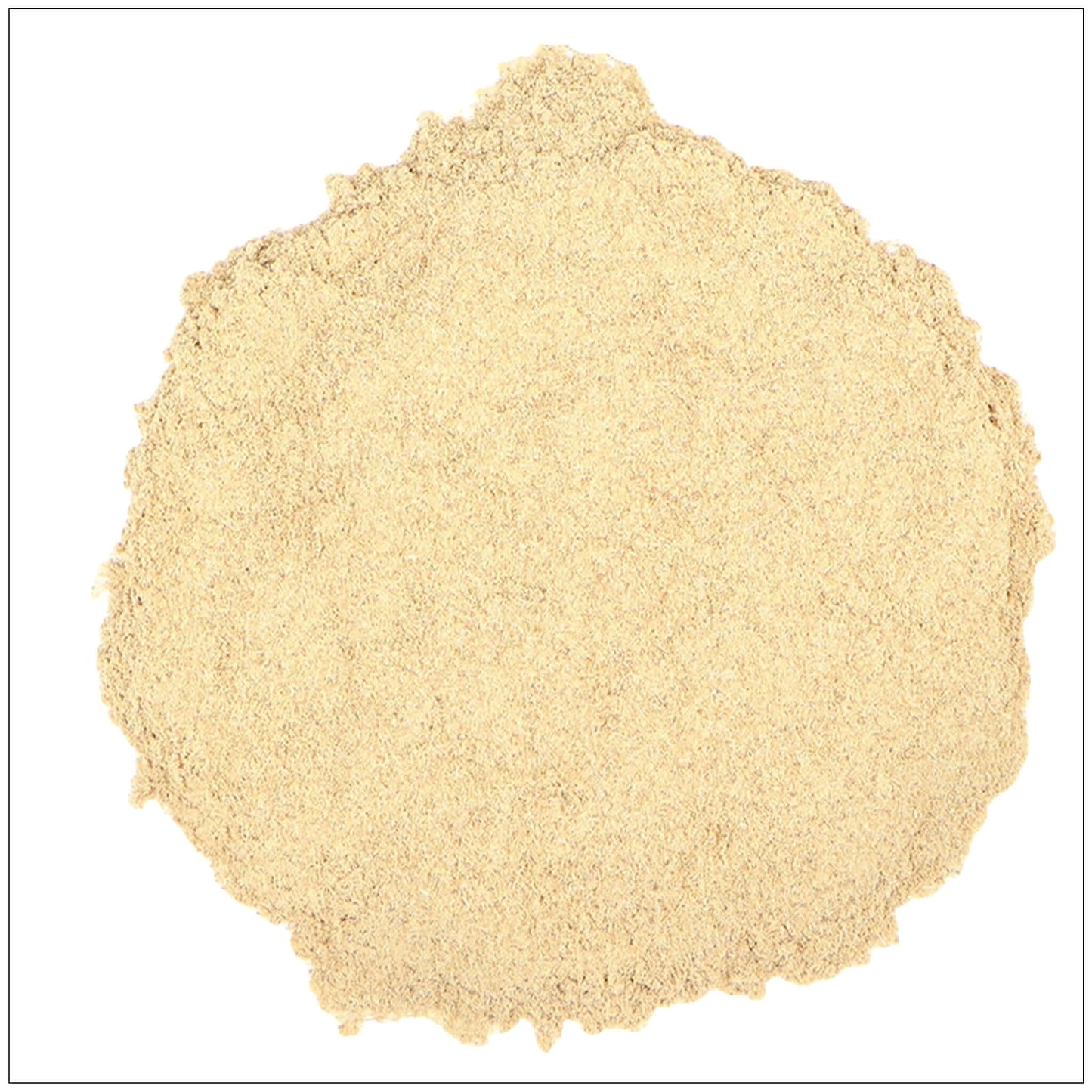 Poudre de l'écorce de saule blanc premium