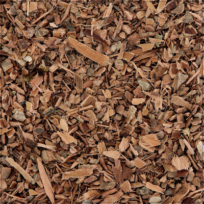 Corteza de Hamamelis Premium