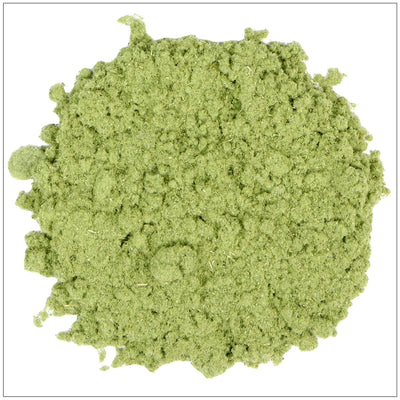 Polvo de Ajenjo Premium - Especia Aromática y Versátil