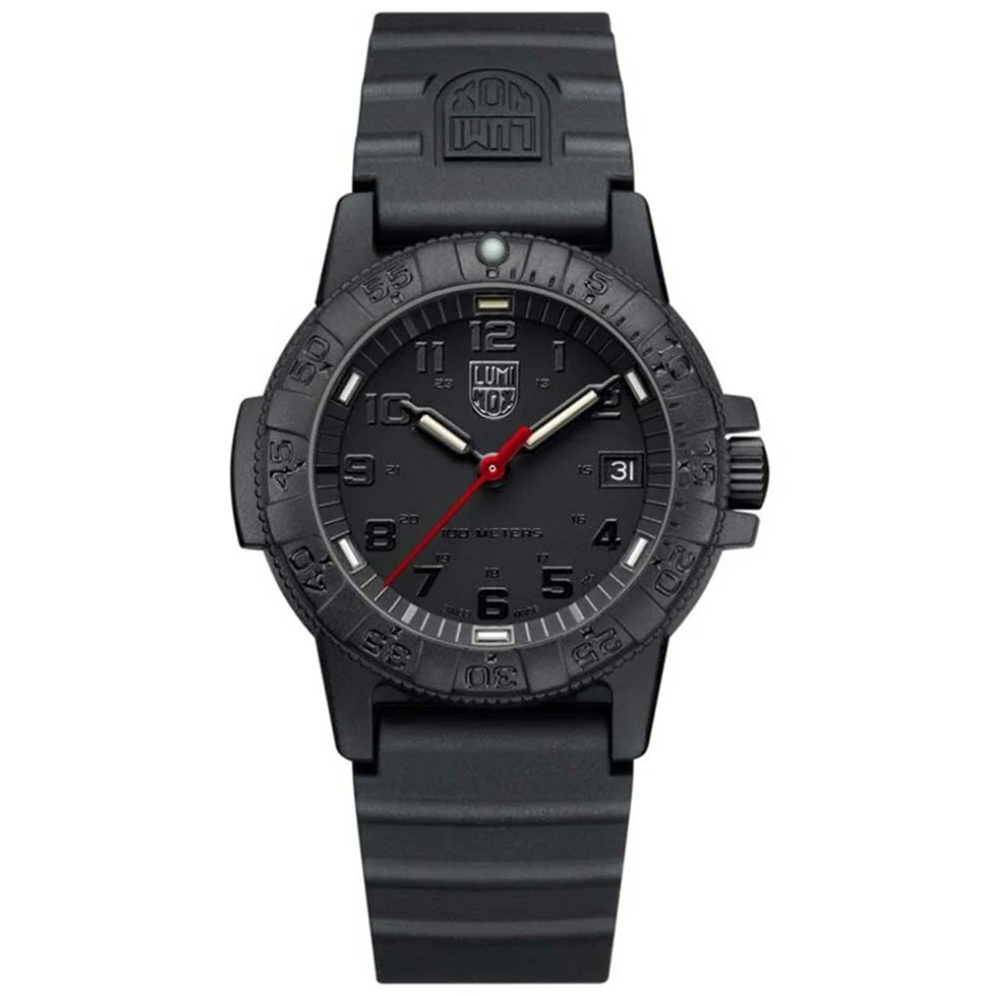 Montre Luminox Sea Turtle pour homme
