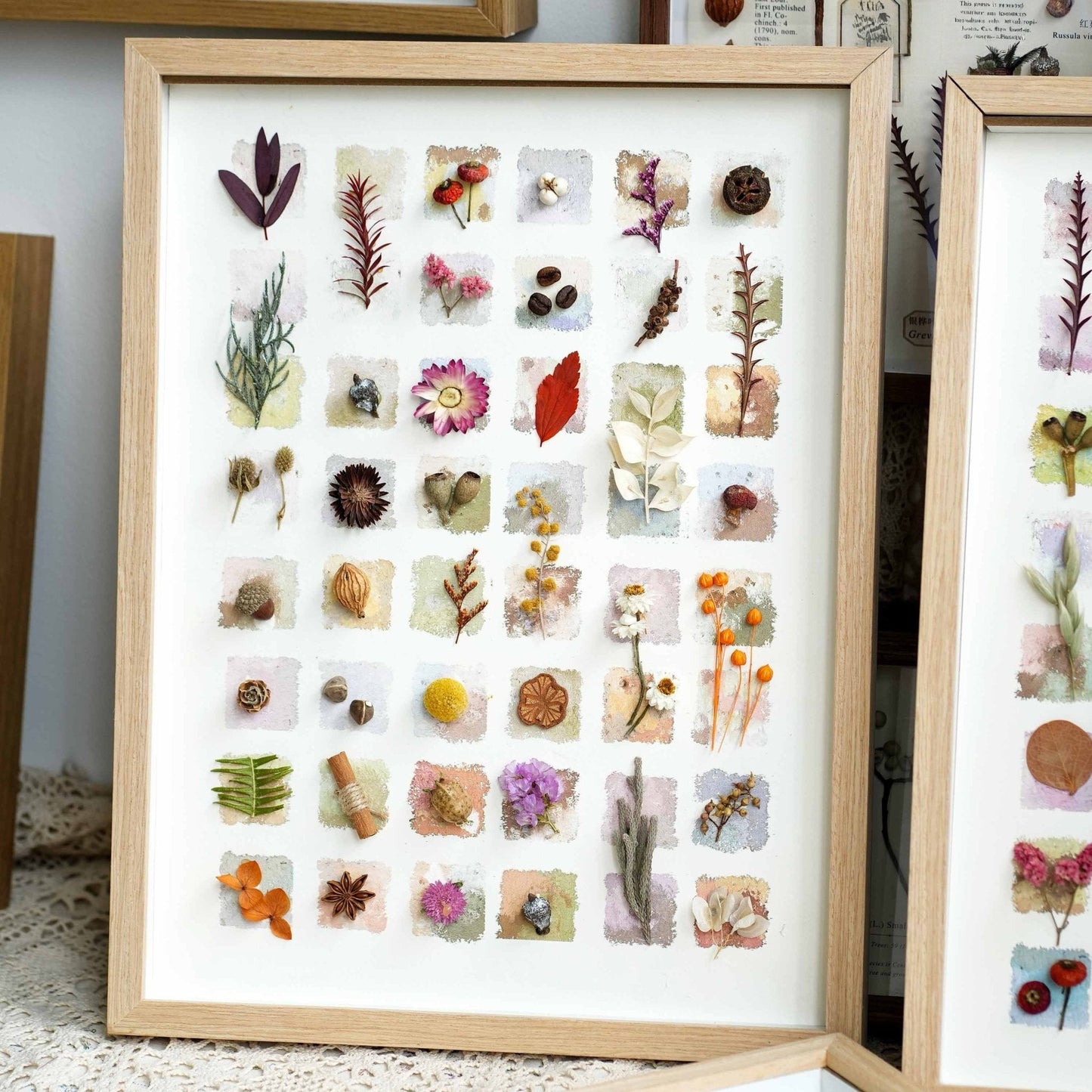 The Grand Botanical Mosaic - 48-Grid Real Specimen Shadow Box Art